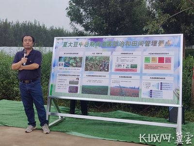 河北省大豆玉米帶狀復(fù)合種植突破百萬畝，科技助力農(nóng)業(yè)病蟲害防治